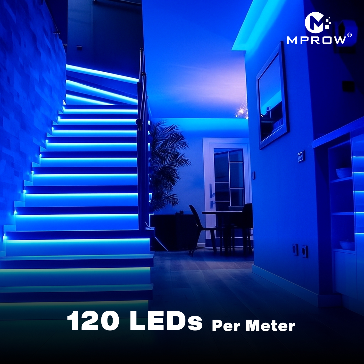 10M LED Rope Light | 120 LEDs/M | Blue - Image 3